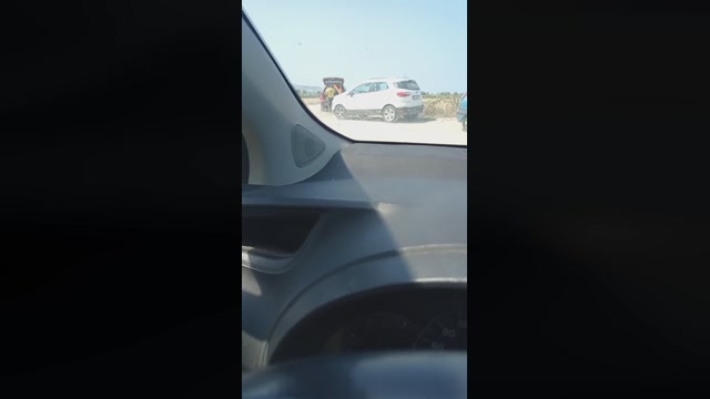 lovetrans111  24-07-2022